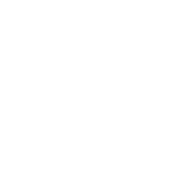 logo_simple_white_256px